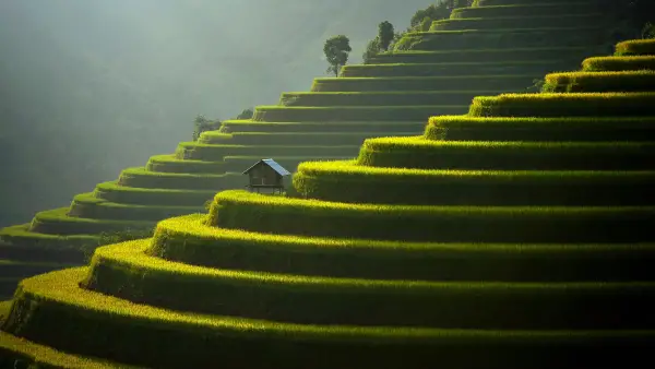 4k亚洲壁纸-场地 - 小屋-景观「哲风壁纸」