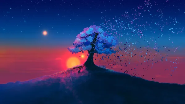 3k天空壁纸-树 - 星星-景观「哲风壁纸」