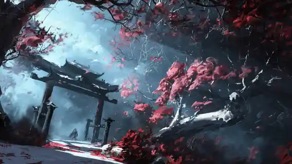 4k插图壁纸-树 - 森林-薄雾「哲风壁纸」