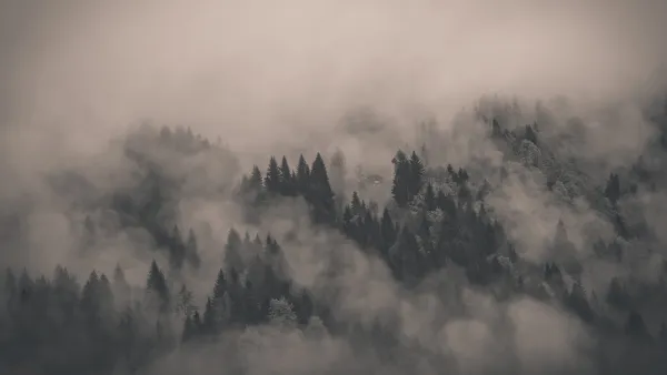 2k云杉壁纸-云 - 山-树「哲风壁纸」