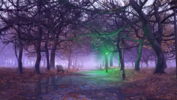 2k树叶壁纸-树 - 落下-路灯「哲风壁纸」