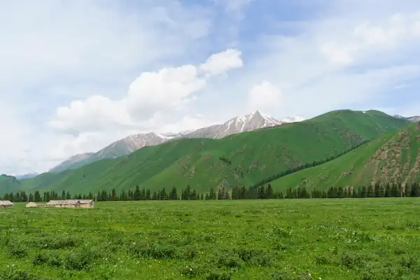 6k新疆壁纸-山 - 草-景观「哲风壁纸」