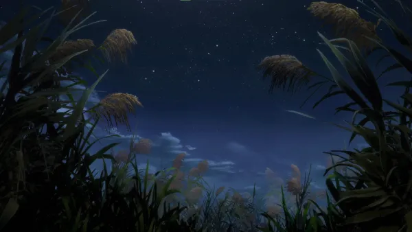 2k夜晚壁纸-云 - 草-天空「哲风壁纸」
