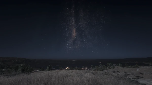 4k天空壁纸-树 - 星星-景观「哲风壁纸」
