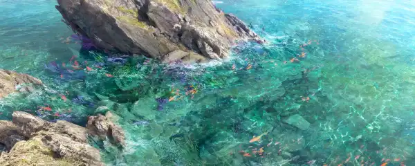 4k岩石壁纸-水 - 河-鱼「哲风壁纸」