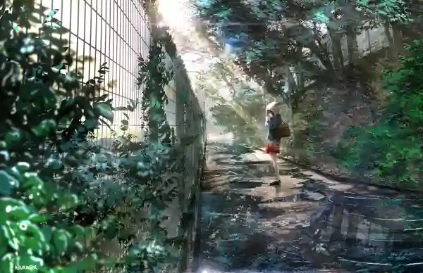 4k反射壁纸-包 - 栅栏-树叶「哲风壁纸」