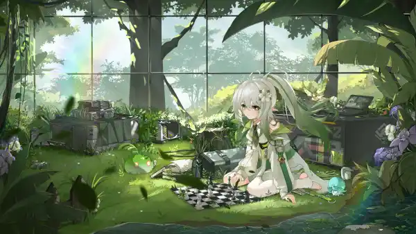 4k彩虹壁纸-棋 - 水-草「哲风壁纸」