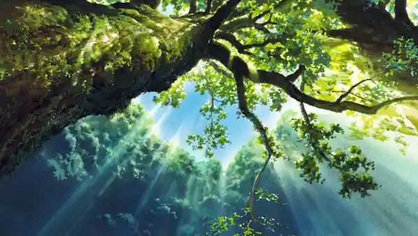 2k天空壁纸-树 - 树叶-阳光「哲风壁纸」