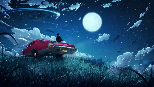 4k夜晚壁纸-草 - 车-夜空「哲风壁纸」