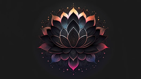 8k花朵壁纸-莲花 - 极简主义-免费下载「哲风壁纸」