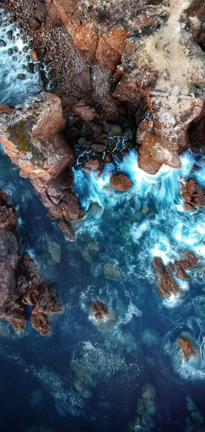 4k水道壁纸 - 流体 - 液体 - 珊瑚「哲风壁纸」