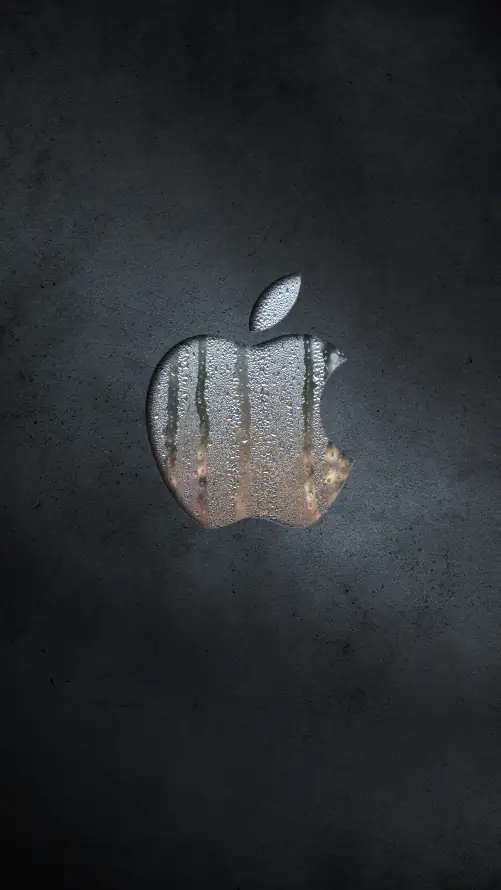 4k手臂壁纸 - 手 - Apple - 手臂 墙纸「哲风壁纸」