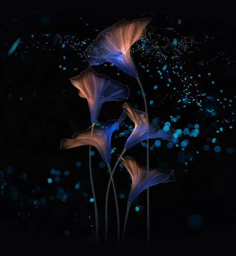 4kHuawei壁纸 - Honor Magic 2 - 手机壁纸 - wallpaper「哲风壁纸」