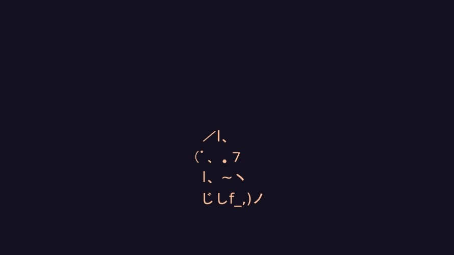 2k动物壁纸-猫 - 极简主义-简单的背景「哲风壁纸」