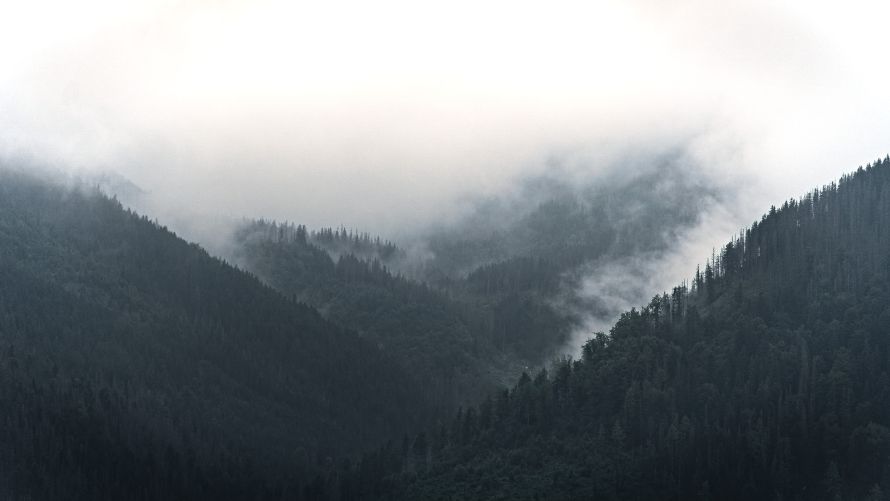 4k摄影壁纸-山 - 自然-薄雾「哲风壁纸」