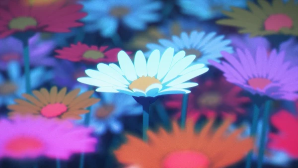 4k花朵壁纸-搜搜的朋友 - 桌面-免费下载「哲风壁纸」