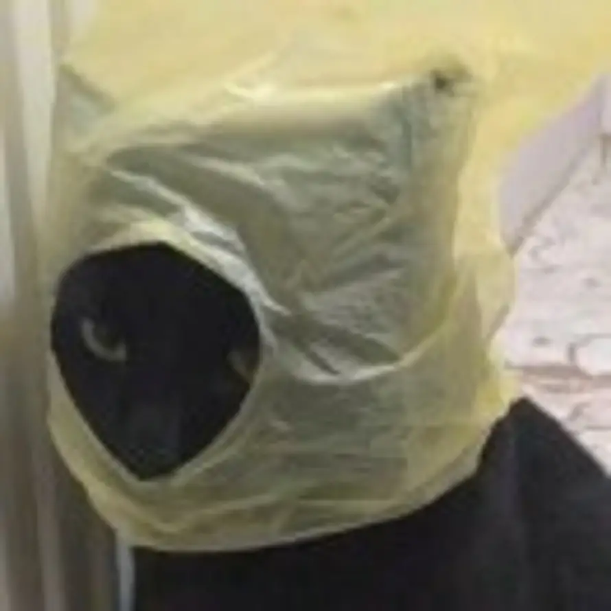 用户听风等铃响?·的头像