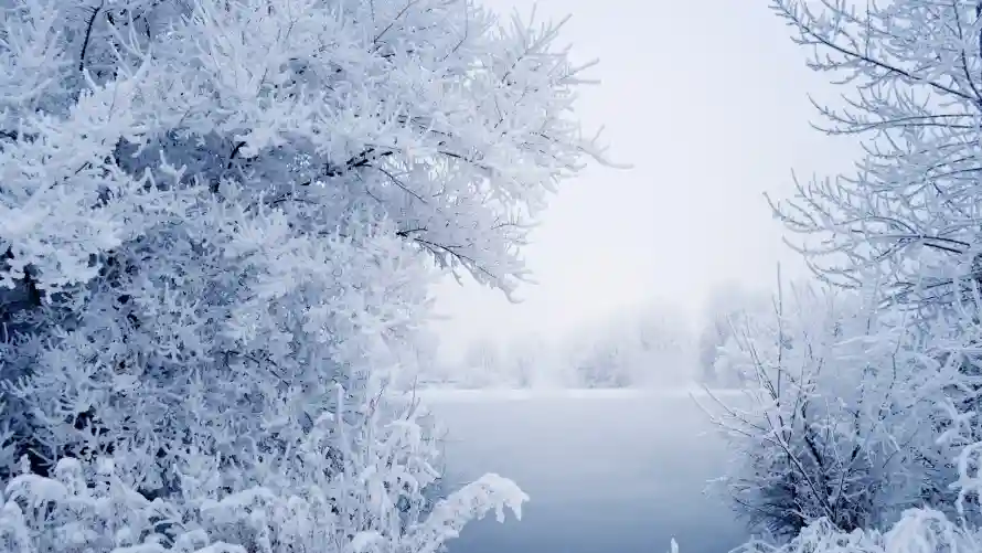 2k冰湖壁纸-雾凇 - 冬季森林-冰雪世界「哲风壁纸」