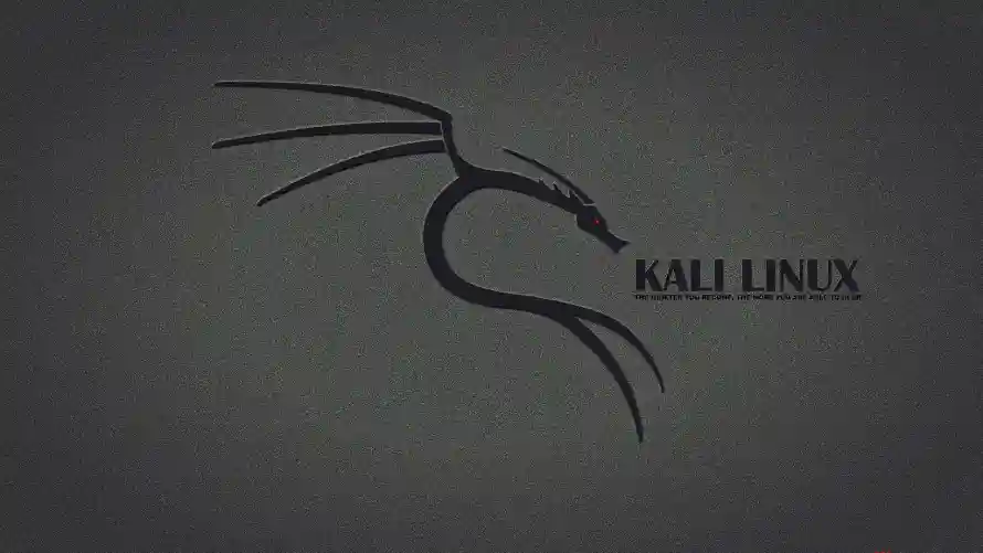 2k精选壁纸-kali - Linux-免费下载「哲风壁纸」