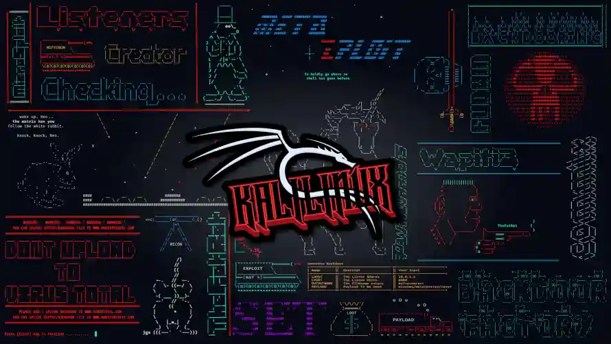 2k精选壁纸-kali - linux系统-免费下载「哲风壁纸」