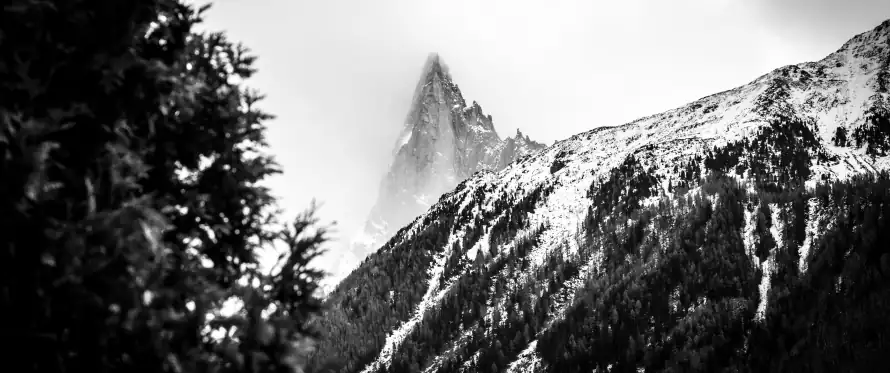 3k森林壁纸-雪山 - 桌面-免费下载「哲风壁纸」