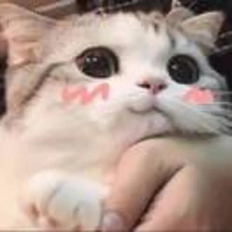 6789的头像
