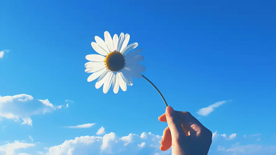 4k花朵壁纸 - 蓝天 - 电脑壁纸 - wallpaper「哲风壁纸」 4k花朵壁纸 - 蓝天 - 电脑壁纸 - wallpaper「哲风壁纸」
