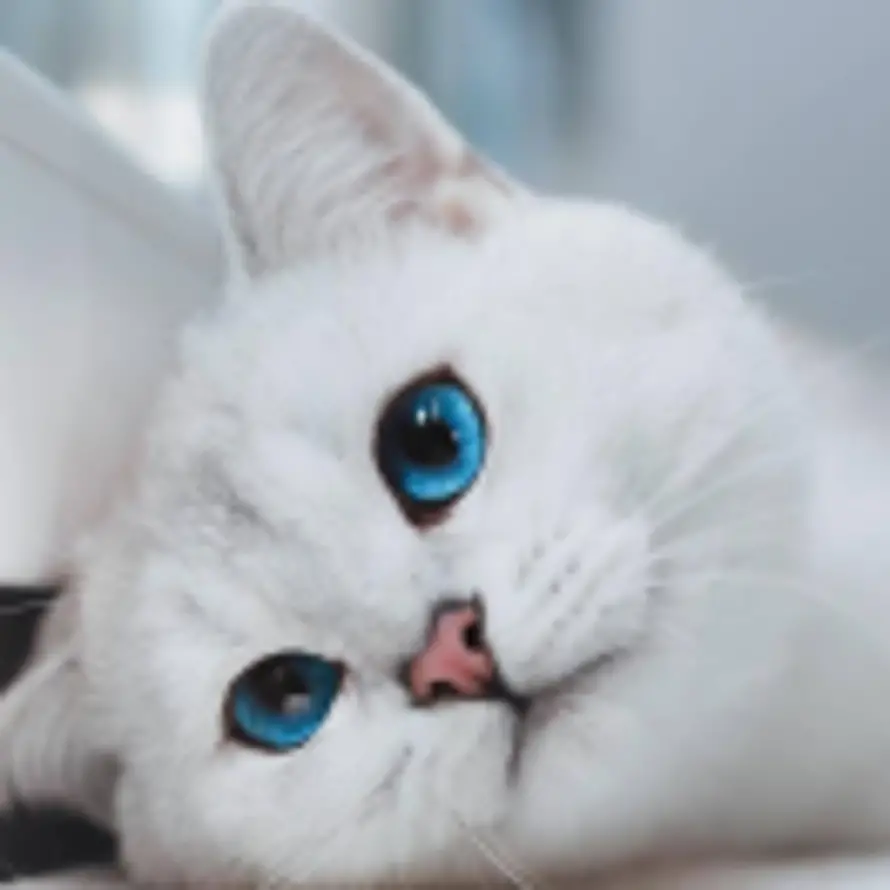 漓的头像