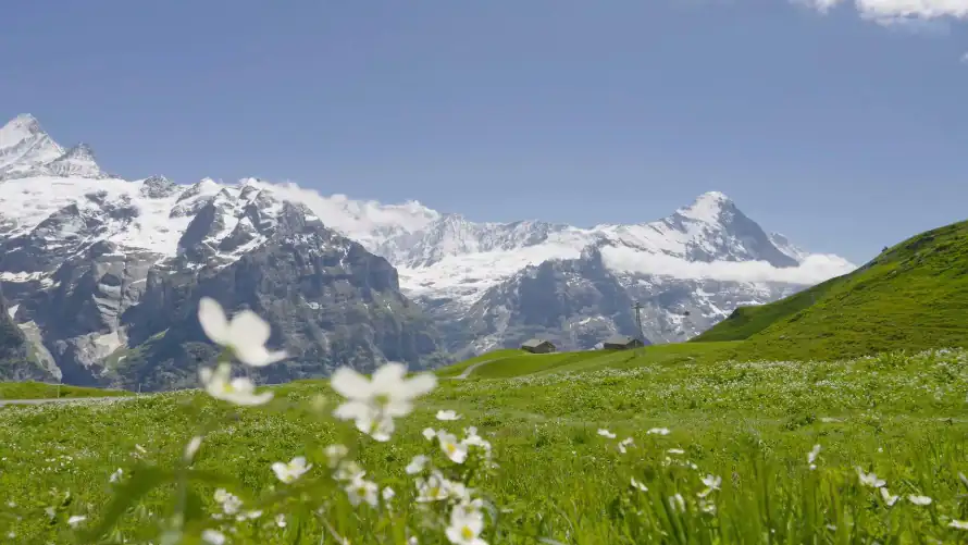 2k自然壁纸-风景 - 桌面-免费下载「哲风壁纸」