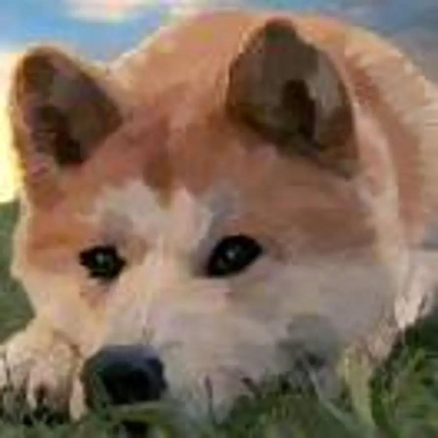 Doraemon的头像