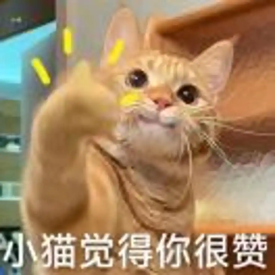 💤🐈的头像