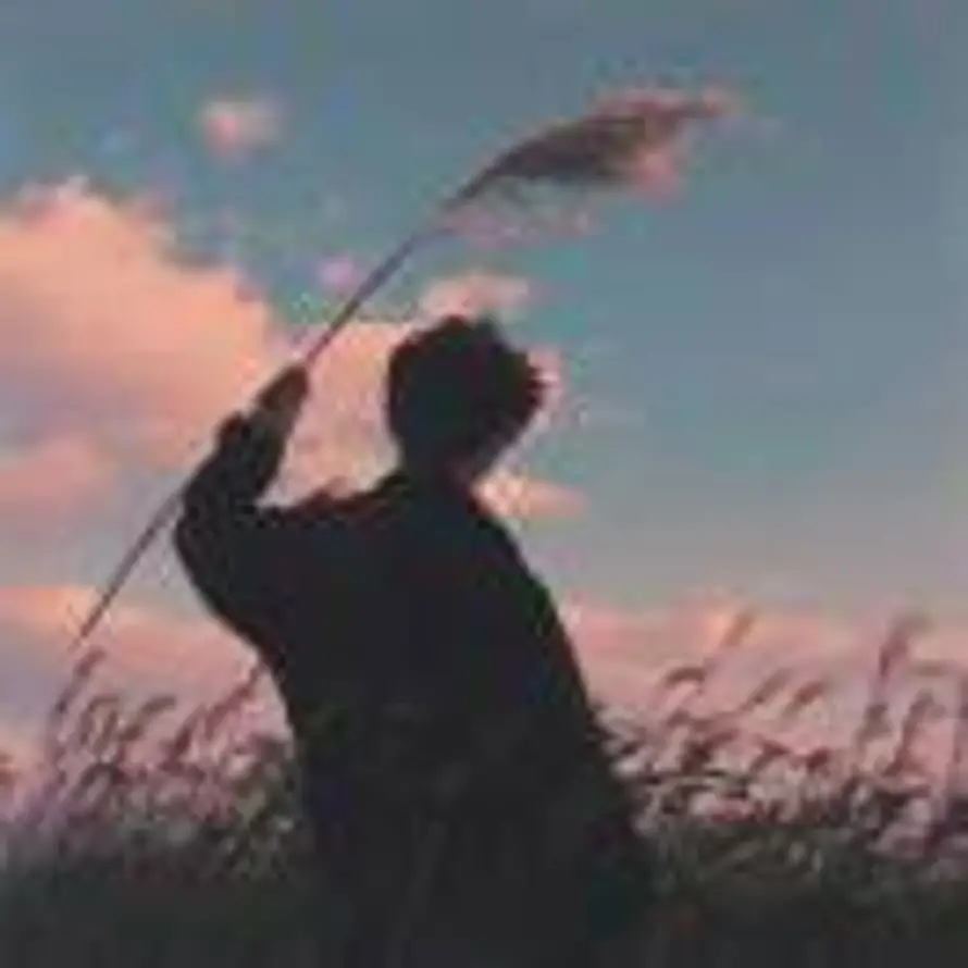 流岚.的头像