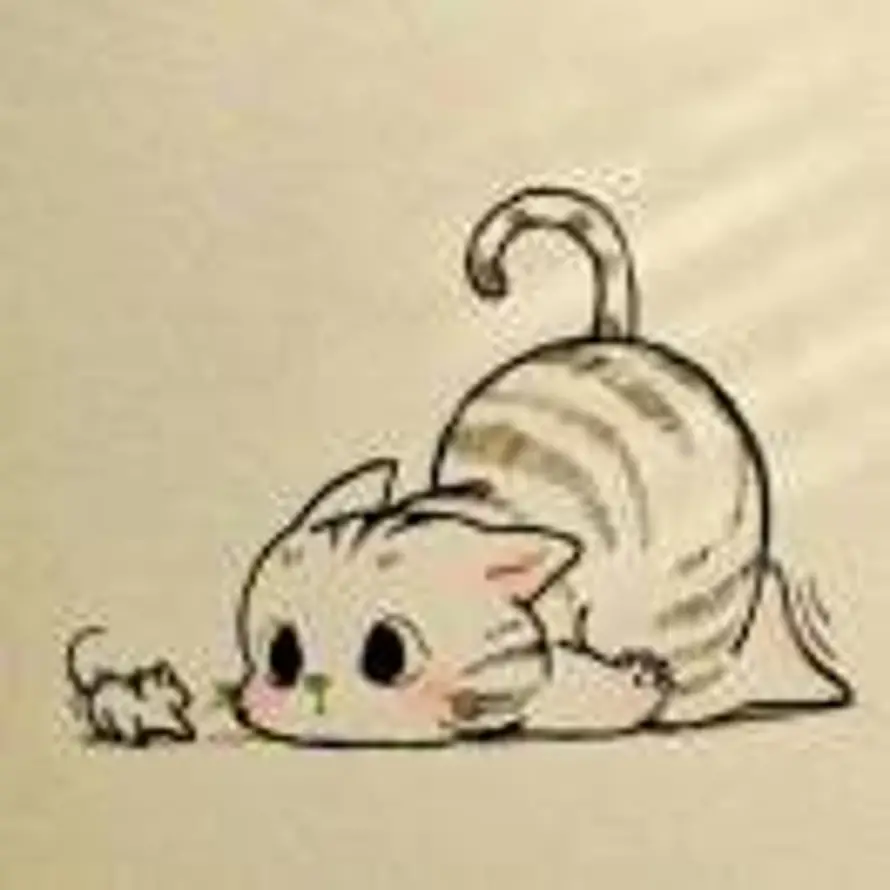七日晴的头像