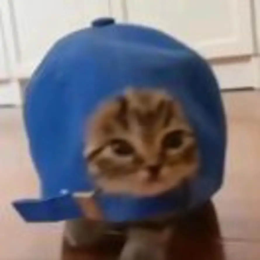 X的头像