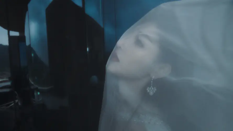 5k女明星壁纸-张天爱 - 桌面-免费下载「哲风壁纸」