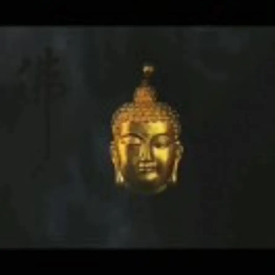 孤读先生的头像