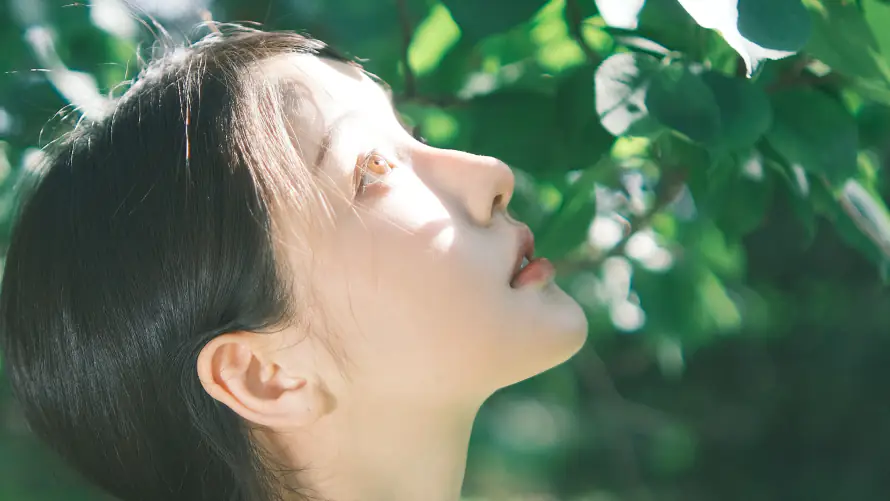 4k女明星壁纸-姜贞羽 - 桌面-免费下载「哲风壁纸」