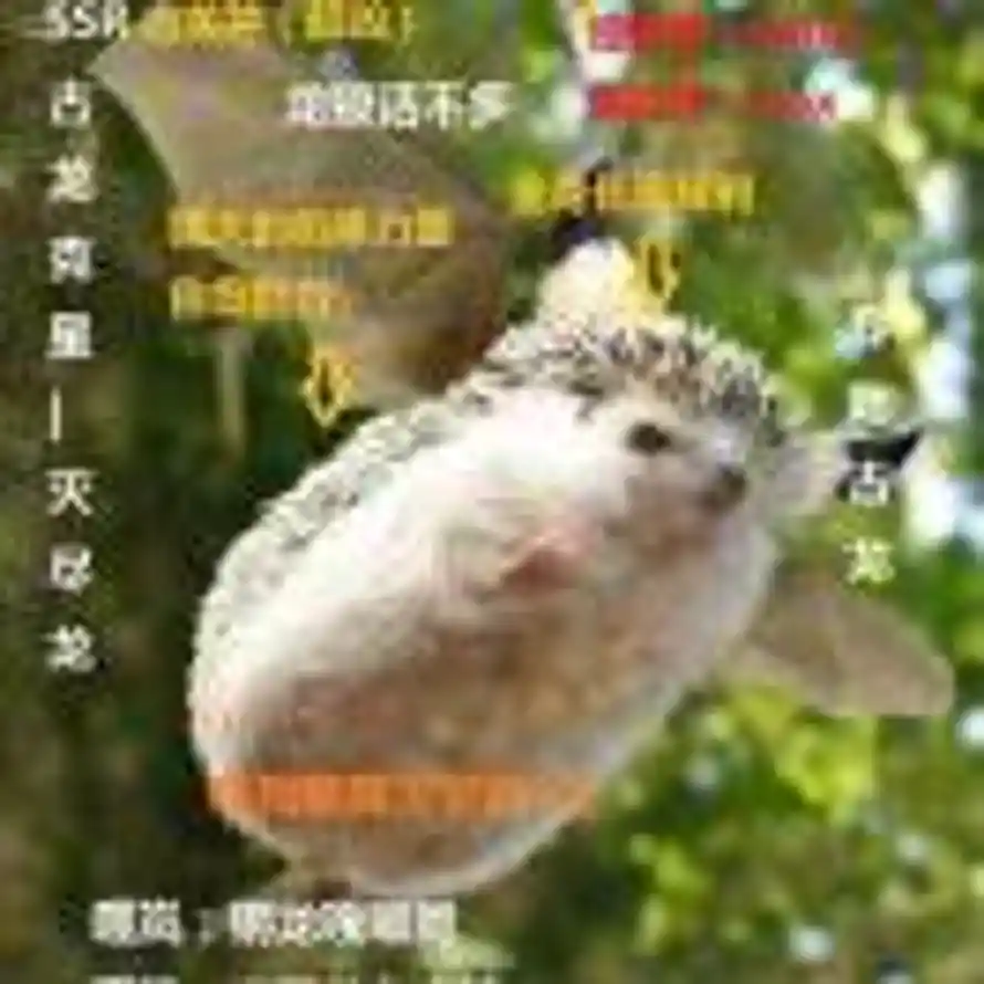 用户凉快的头像