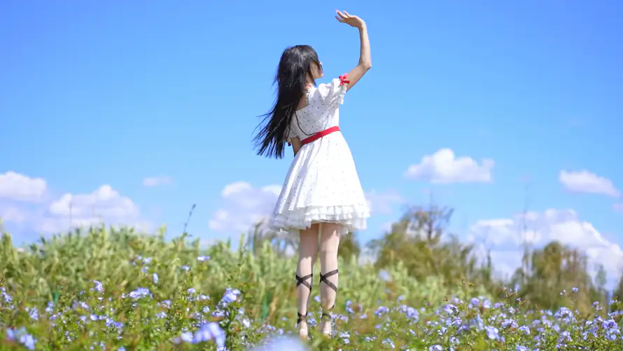 4k美女壁纸-自然 - 桌面-免费下载「哲风壁纸」