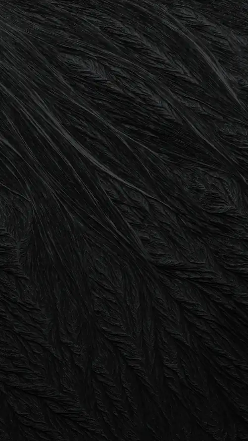 4k纹理壁纸 - 黑色 - 手机壁纸 - wallpaper「哲风壁纸」