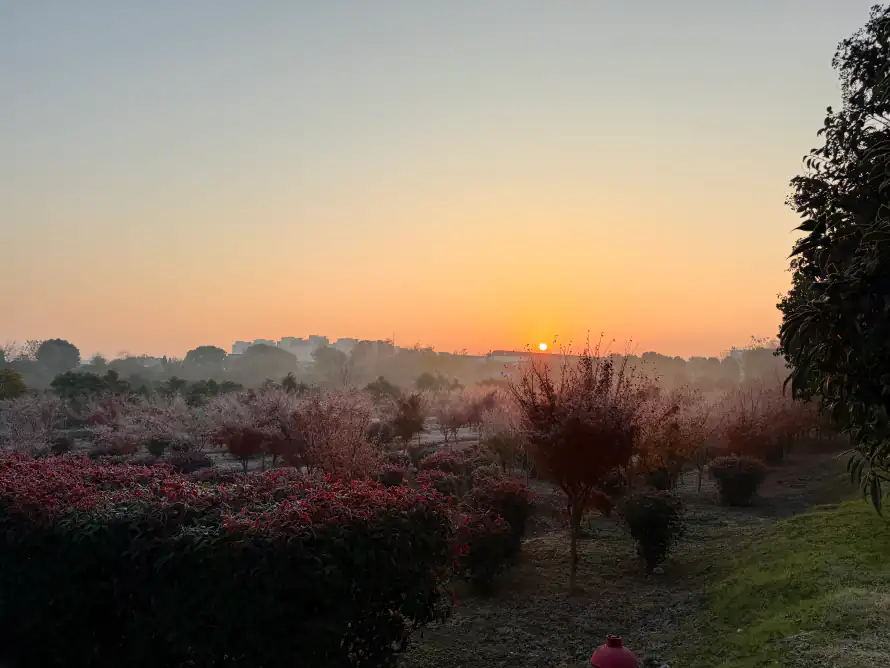 6k日出壁纸-风景 - 桌面-免费下载「哲风壁纸」