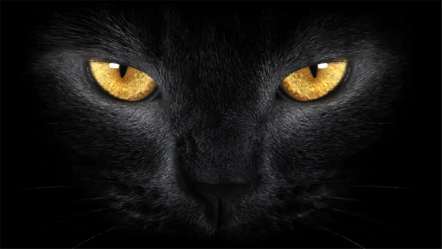 4k神秘壁纸 - 酷 - 黑 - 酷炫「哲风壁纸」