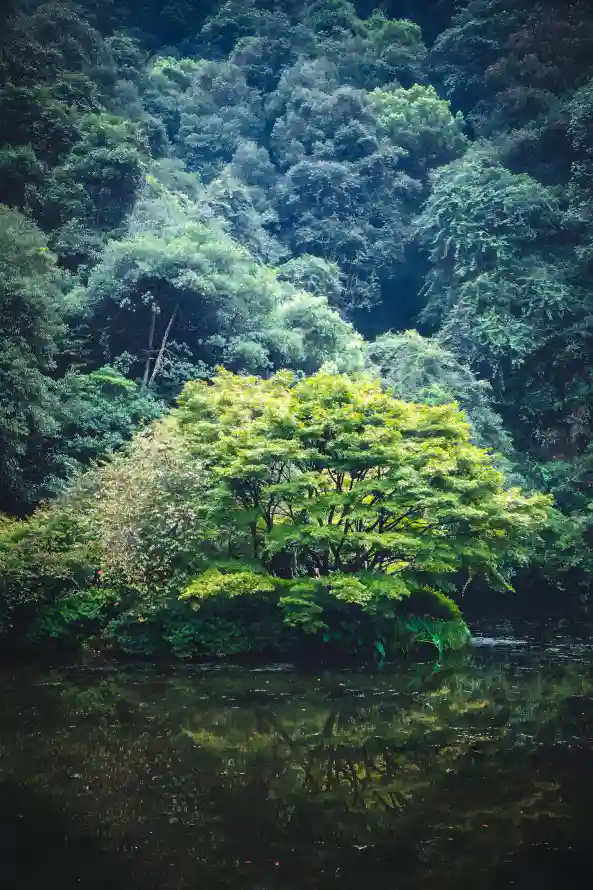4k山林壁纸 - 山野 - 清幽 - 湖景「哲风壁纸」