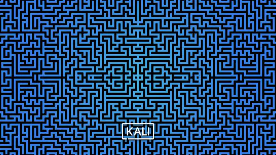 4k科技风壁纸-kali - 系统背景-迷宫图案「哲风壁纸」