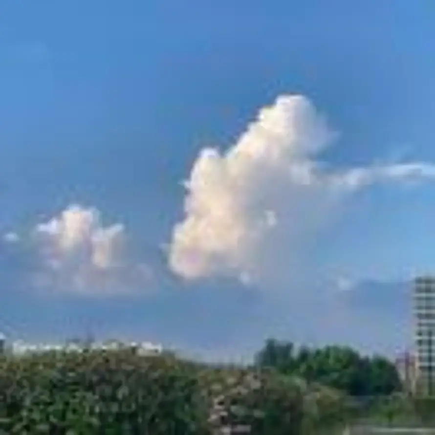 神游的用户头像 - 哲风壁纸