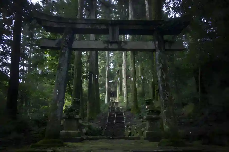 3k森景壁纸-幽谧风 - 日本神社-神社牌坊「哲风壁纸」
