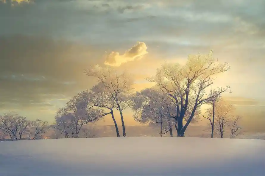4k冬日壁纸-落日 - 雪景-高清「哲风壁纸」