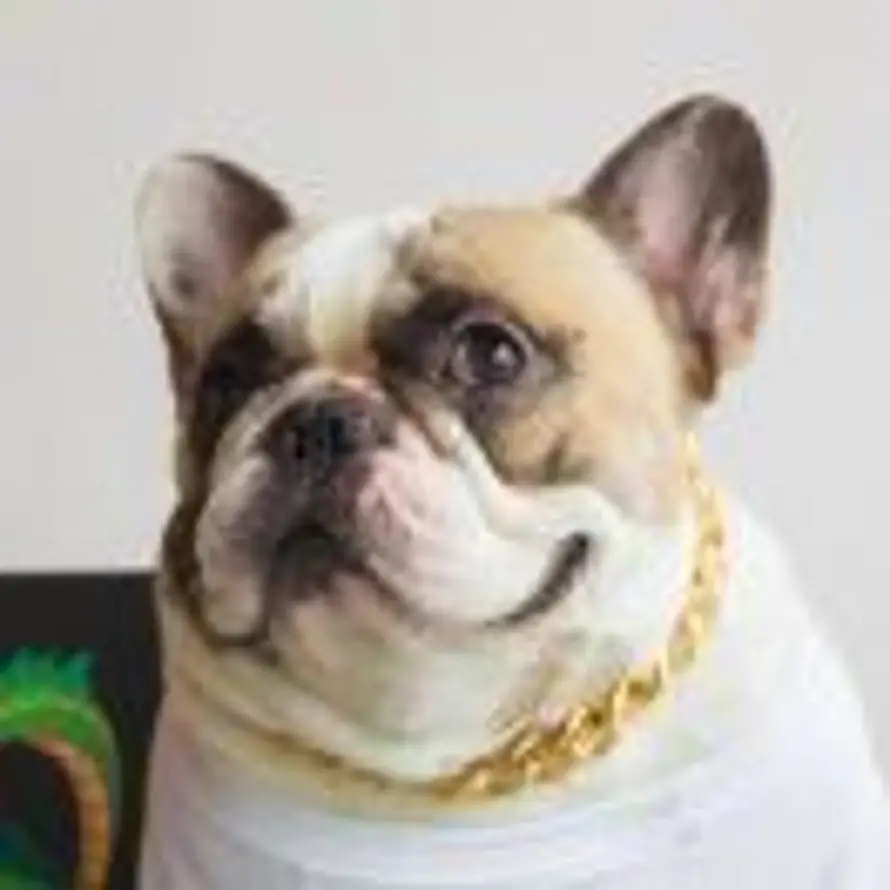 Elli$ON的头像