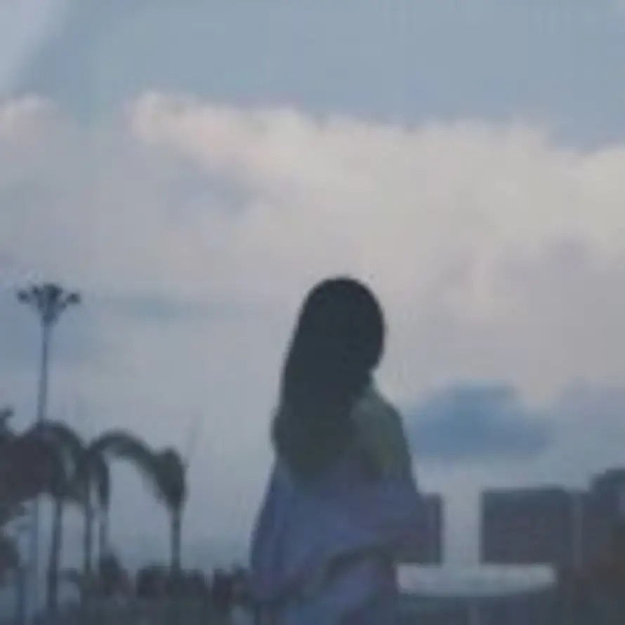 king的头像