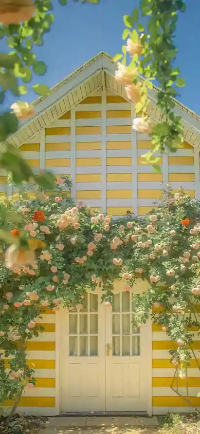 4k小屋壁纸 - 花 - 烂漫 - 花墙「哲风壁纸」 4k小屋壁纸 - 花 - 烂漫 - 花墙「哲风壁纸」